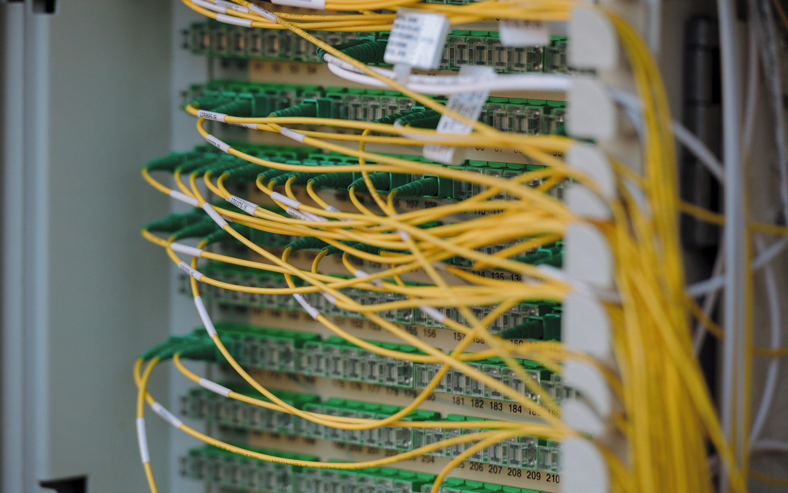 Neatly connected network cables in a company server rack