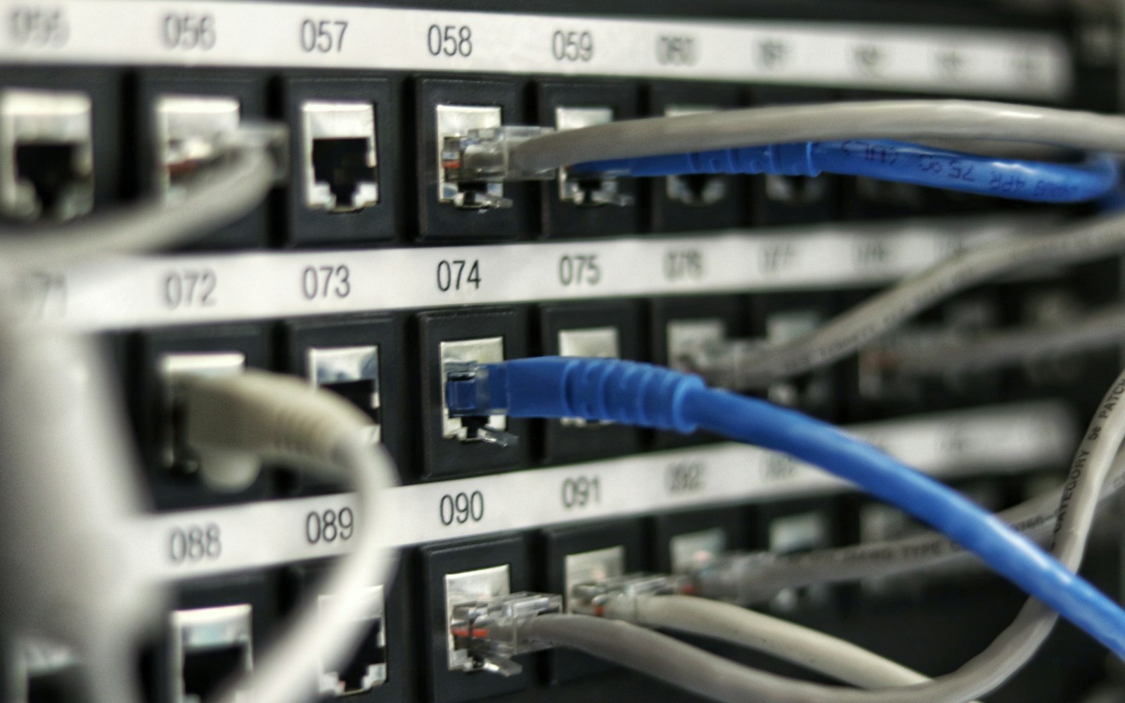 Blue network cables connected to a switch